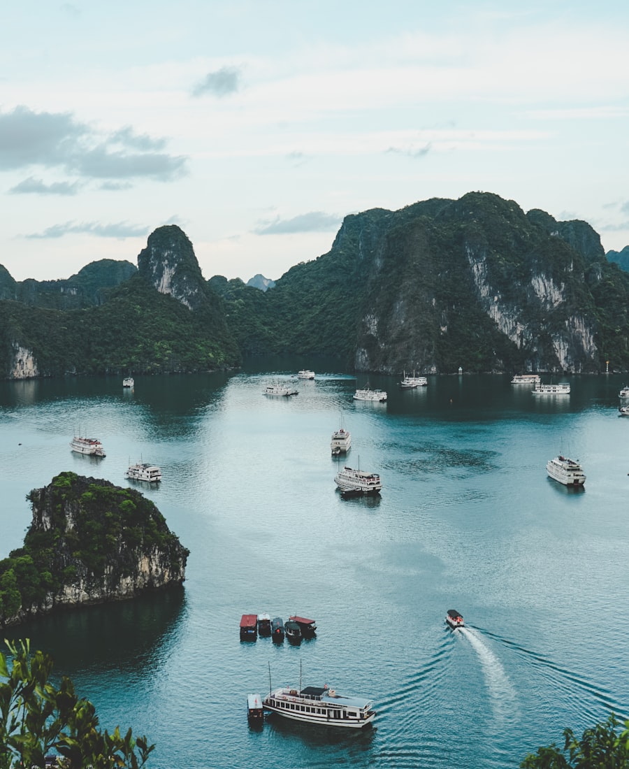 Việt Nam