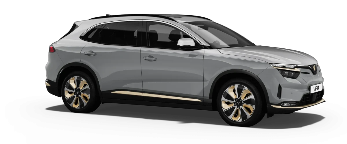 VF 8 — Desat Silver