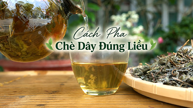 Cách pha nụ vối ngon, không chát, giữ mùi thơm tự nhiên