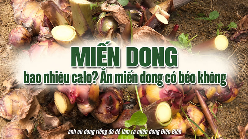 Miến dong bao nhiêu calo? Ăn miến dong có béo không