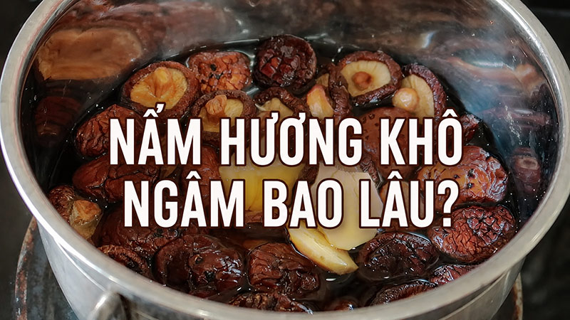 Nấm Hương Khô Ngâm Bao Lâu? Nước Nóng Hay Lạnh Mới Đúng