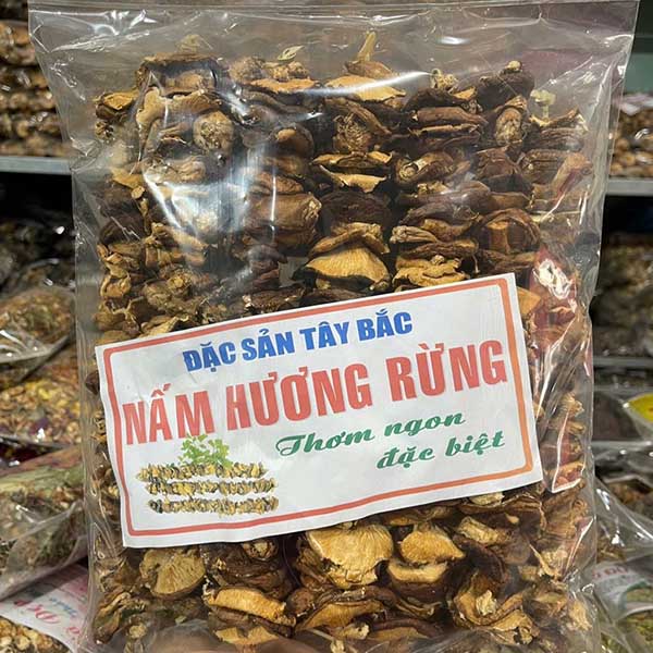 Nấm Hương Rừng Tây Bắc thơm đặc biệt