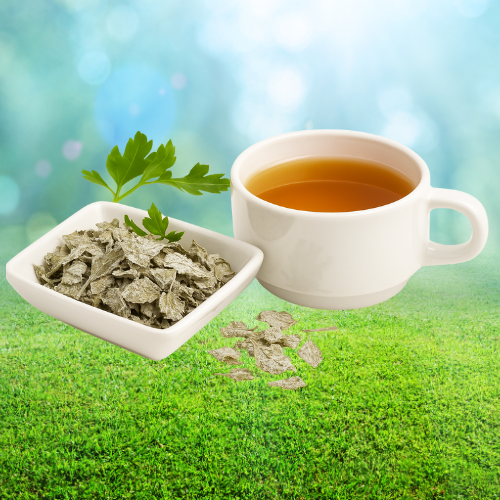 Trà – Thảo dược