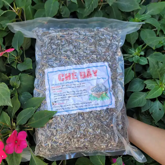 Chè dây rừng Tây Bắc nguyên chất