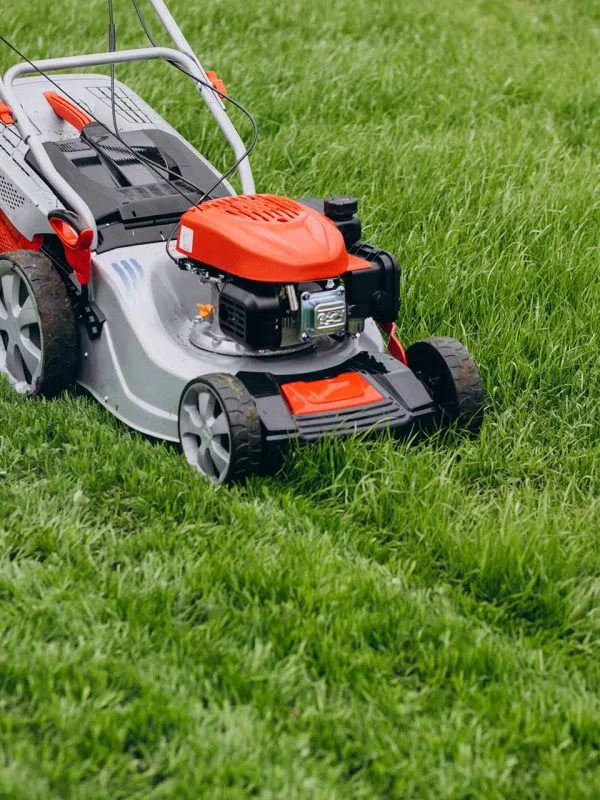 Chăm sóc thảm cỏ