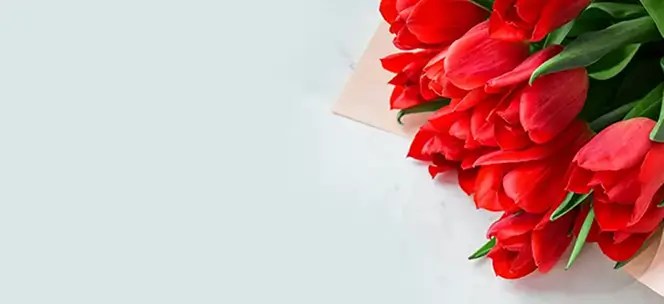 B&oacute; tulip tươi cho những m&oacute;n qu&agrave; thời thượng.