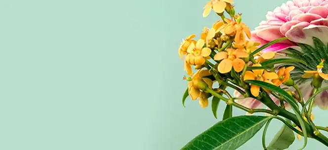 B&oacute; tulip tươi lấy cảm hứng từ khu vườn xu&acirc;n rực rỡ.