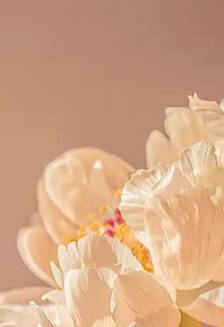 Những b&ocirc;ng hoa tuyệt đẹp cho kh&ocirc;ng gian sống.