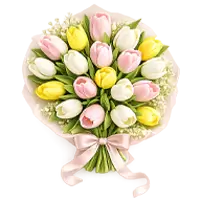 Hoa tulip