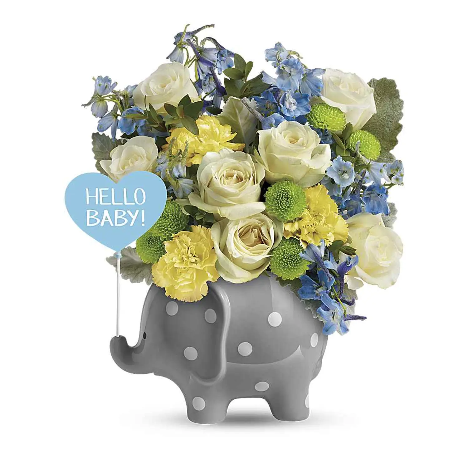 Hoa chào đón bé Sweet Baby Blue