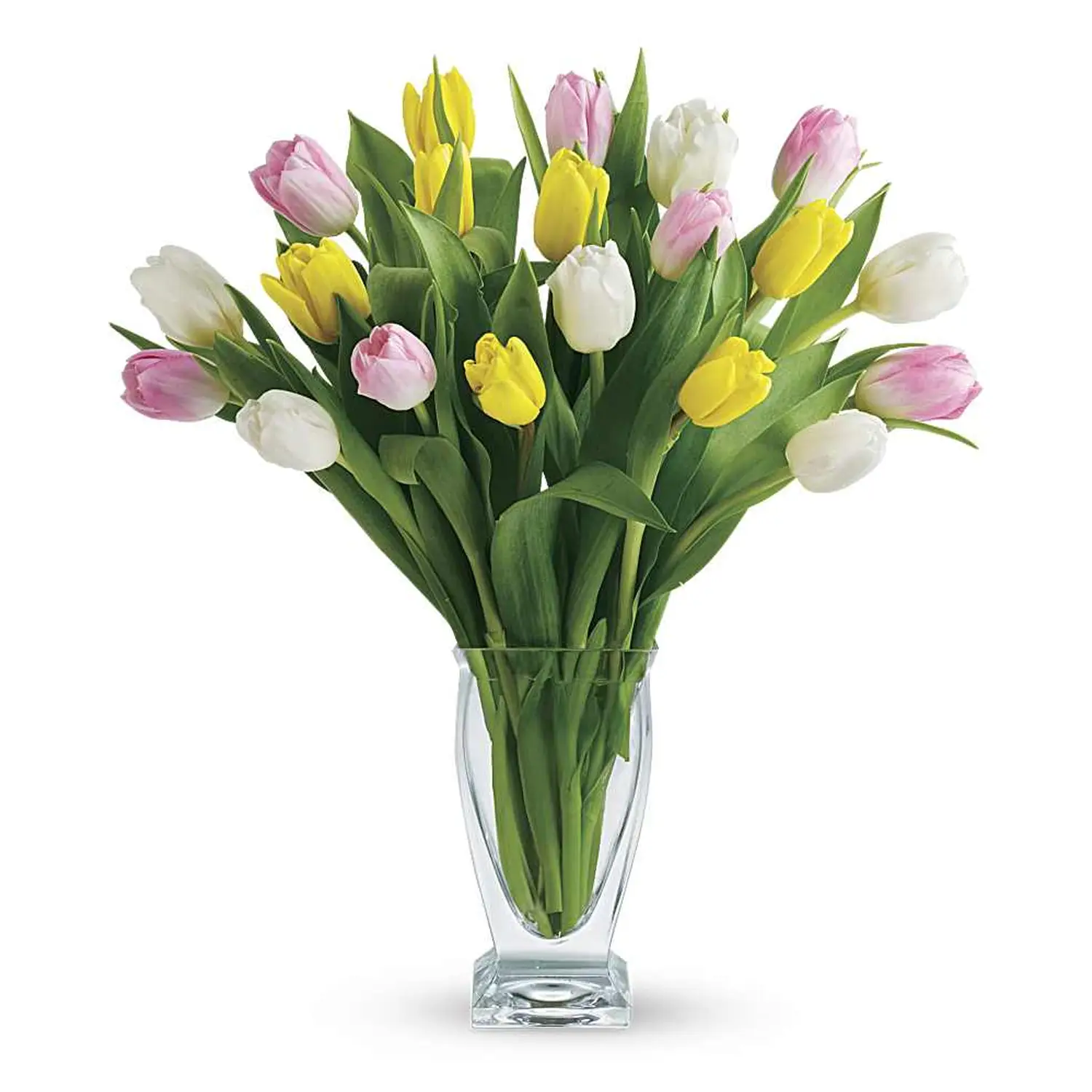 Bình hoa tulip mùa xuân