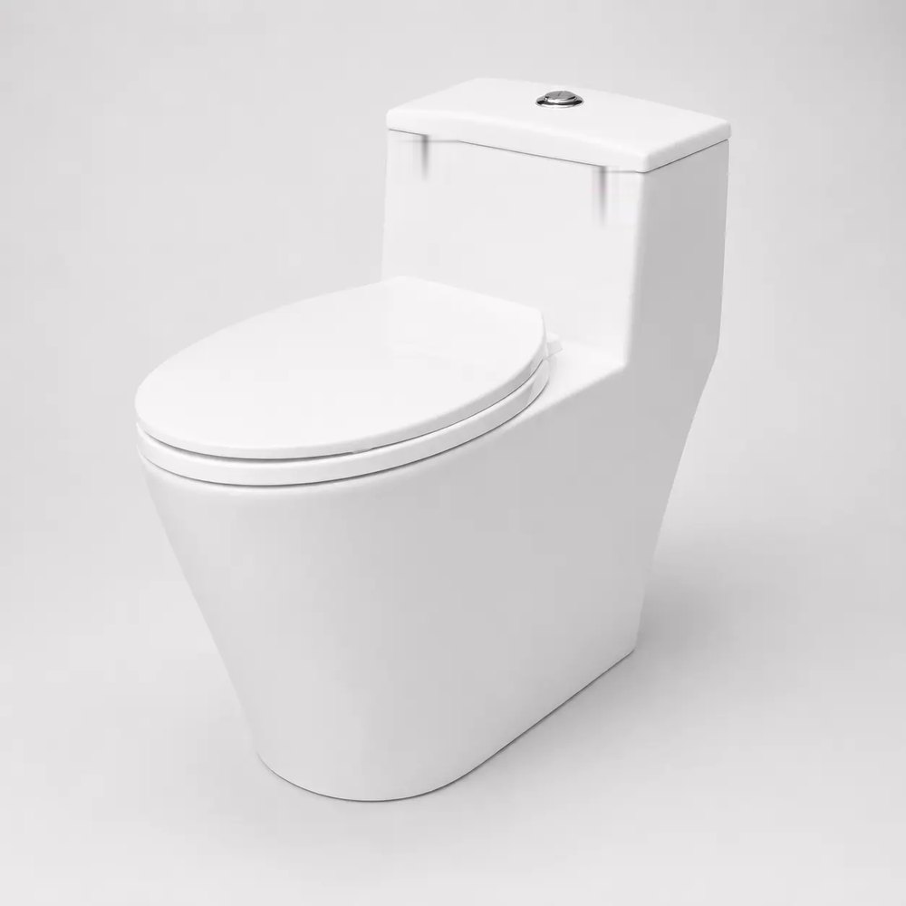 Bồn cầu một khối nắp êm SK-T201