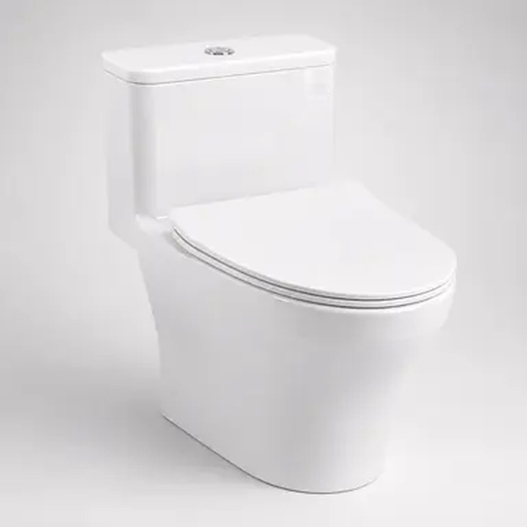 Bồn cầu một khối SK-T205