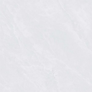 Gạch trắng xám nhạt 60x60 SK-G6012