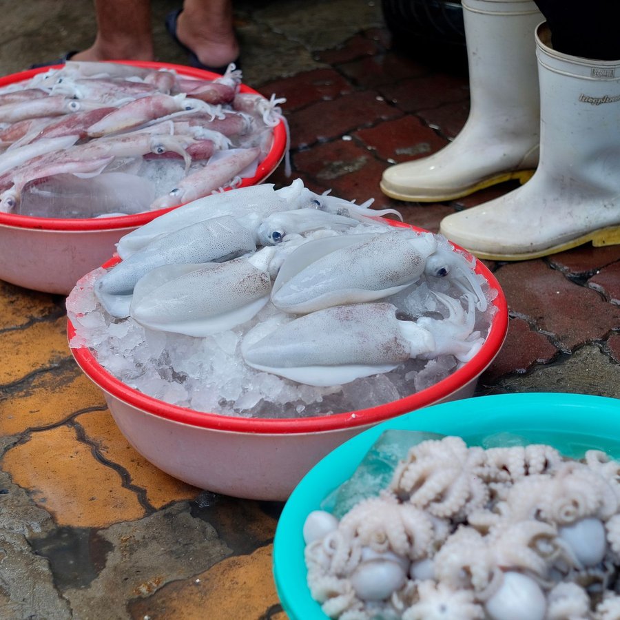 Mực Ống Đông Lạnh