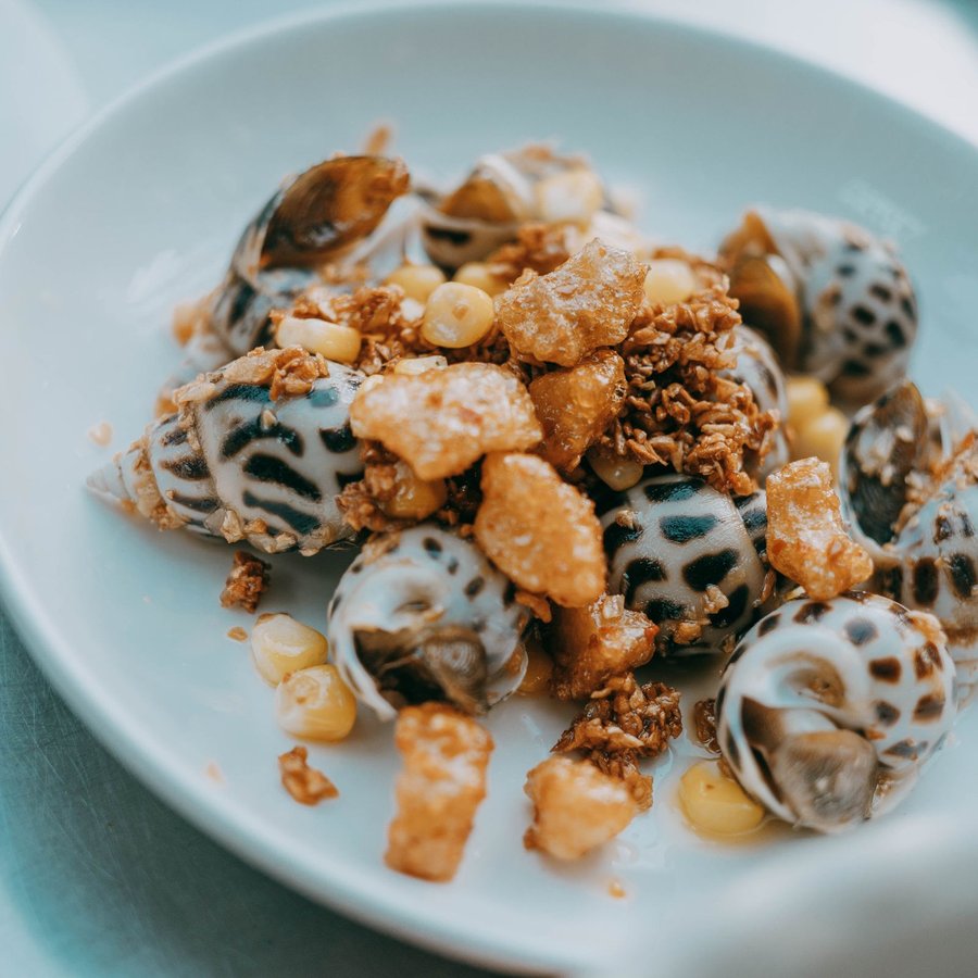 Ốc Hương Lớn – Sống