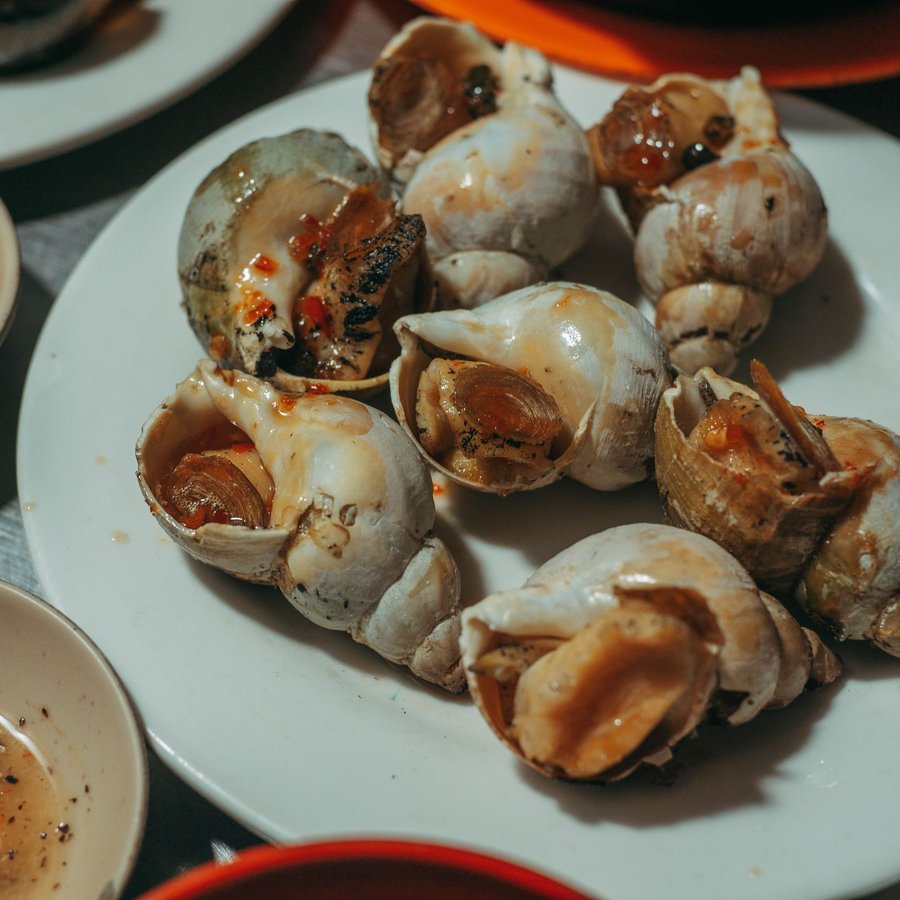 Ốc Mỡ – Sống