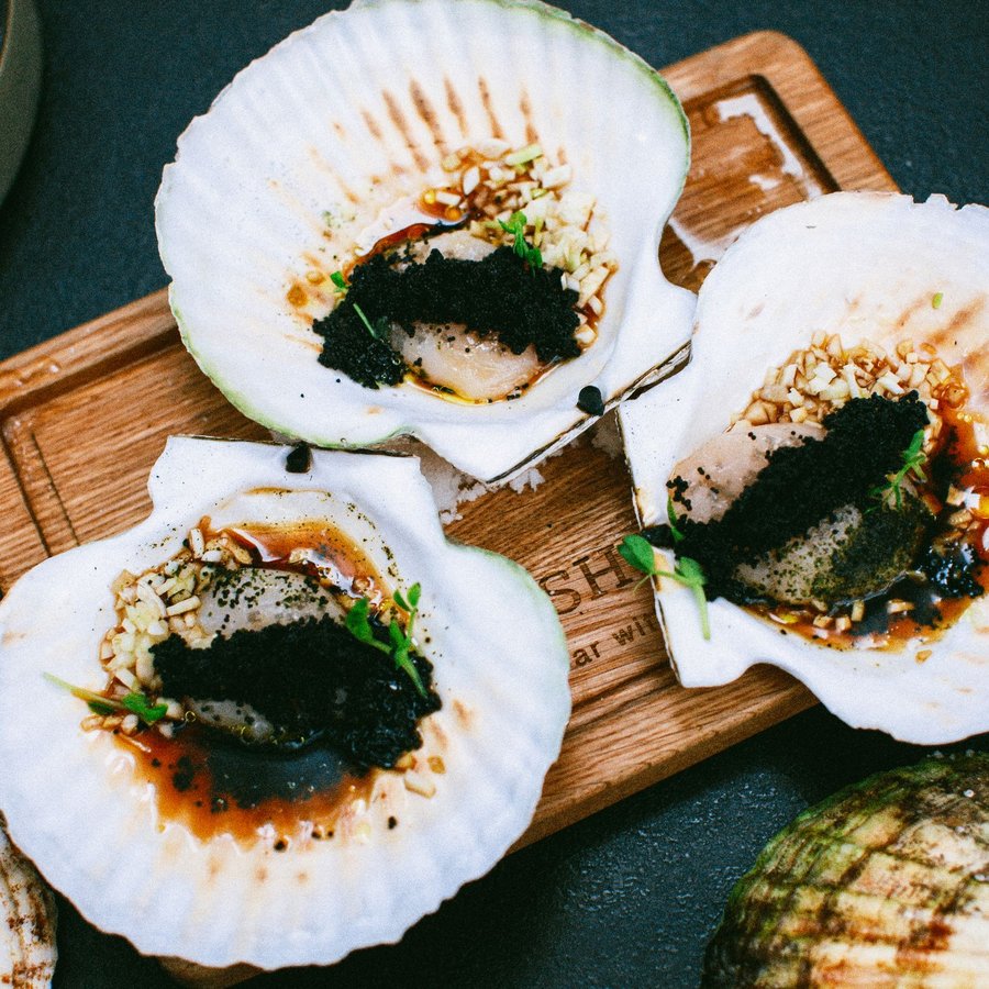 Sò Điệp Nhật – Sống