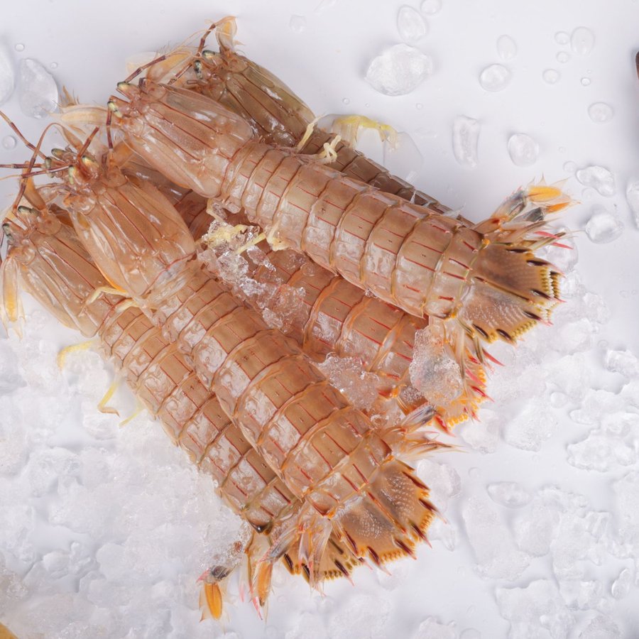 Tôm Mũ Ni – Sống
