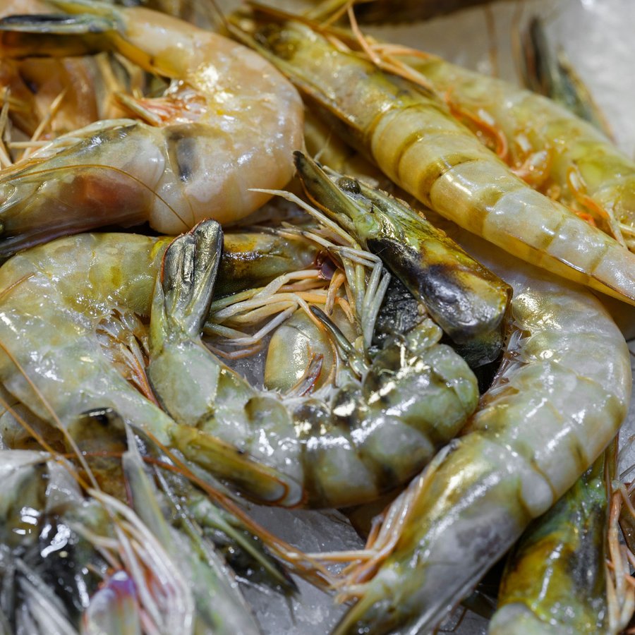 Tôm Sú Thiên Nhiên – Sống