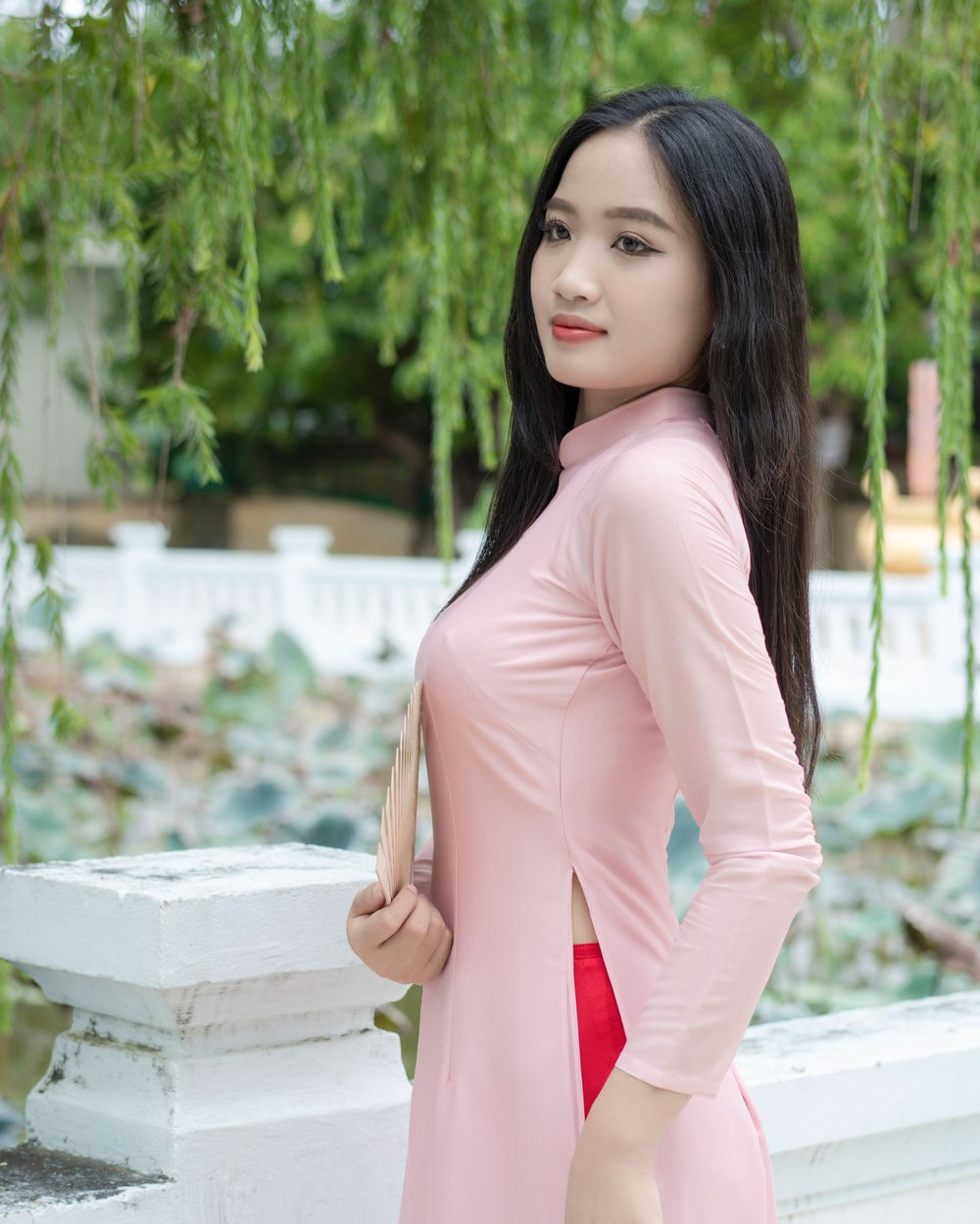 Sen Hồng