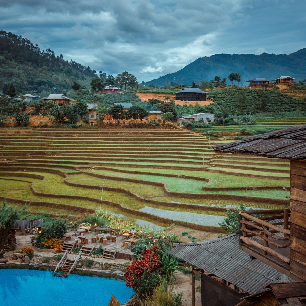 Nhà gỗ có hồ bơi giữa đồng lúa