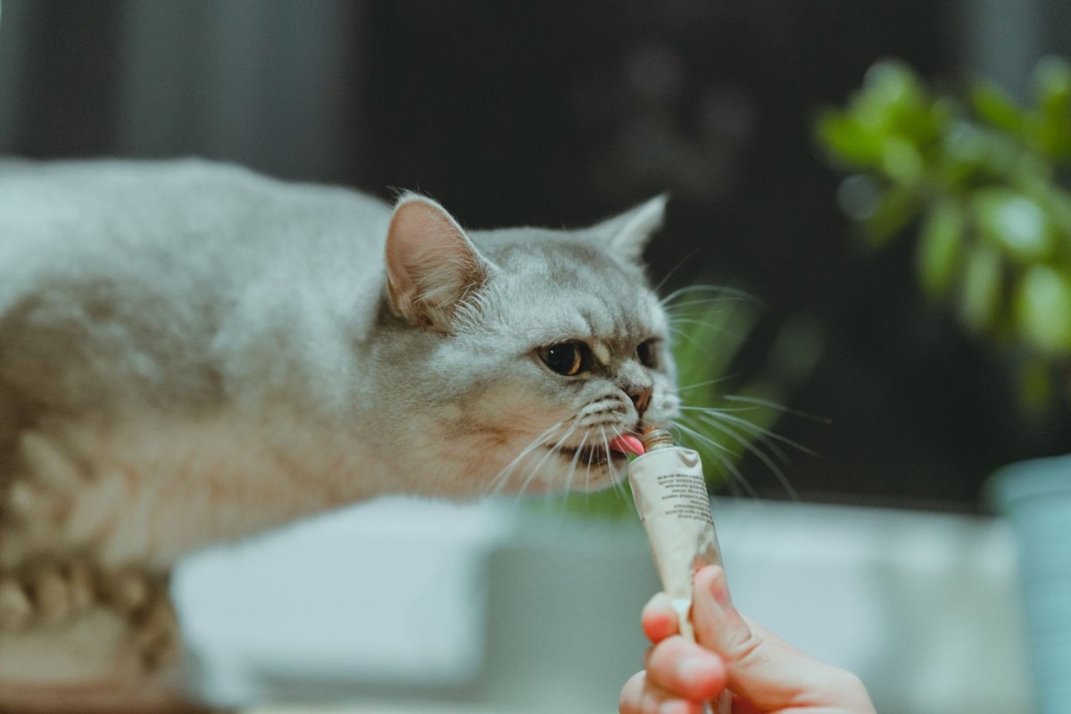 Đổi vị mỗi ngày