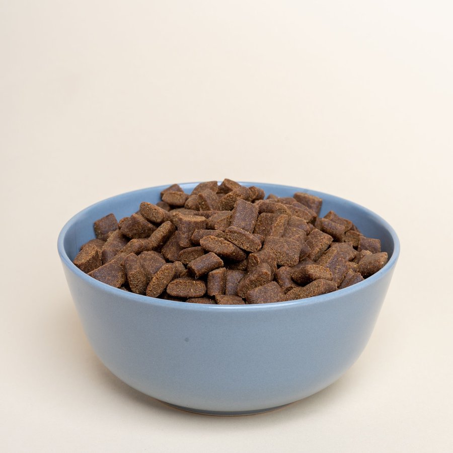 Hạt cho mèo trưởng thành vị cá ngừ 1,2kg