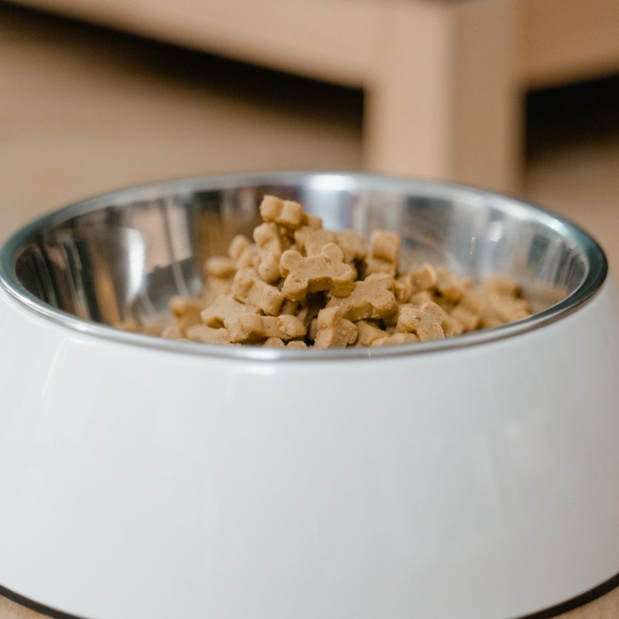 Hạt cho chó trưởng thành vị gà 2kg