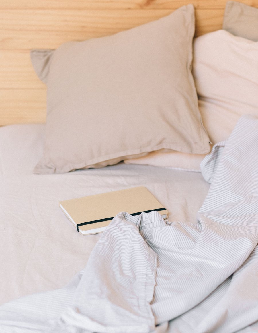 Bộ 2 Vỏ Gối Lụa Tencel